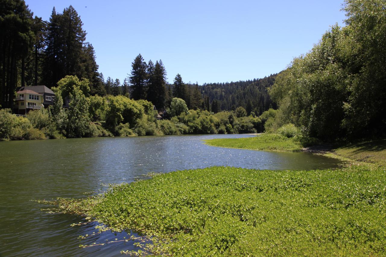Inn On The Russian River Monte Rio Экстерьер фото